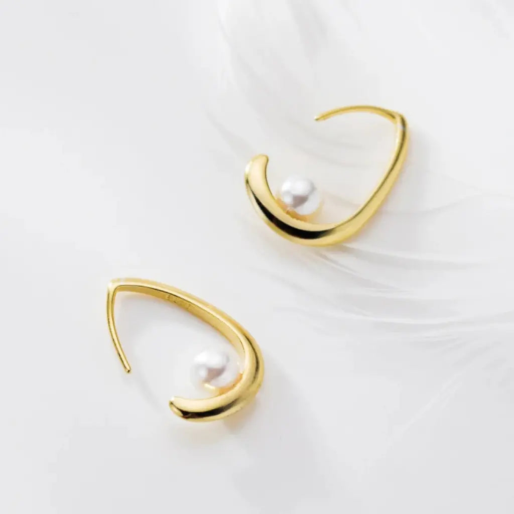 brinco-ear-hook